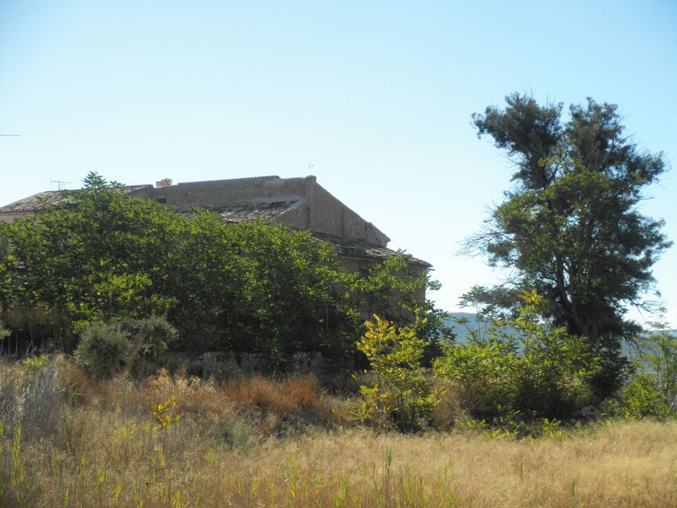 Landejendom i La Romana, Alicante - foto 5